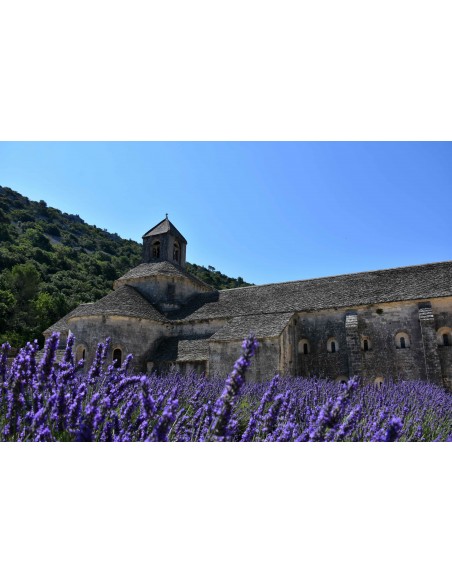 Coffret savon à l'huile essentielle de l'abbaye de Sénanque