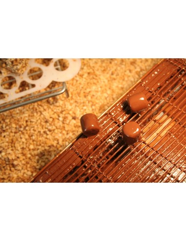 Rocamandines au chocolat