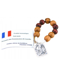 Dizainier Apparition de Lourdes
