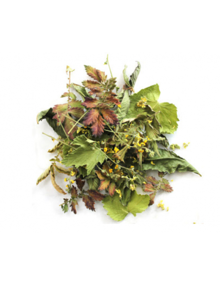 Tisane des Patriarches