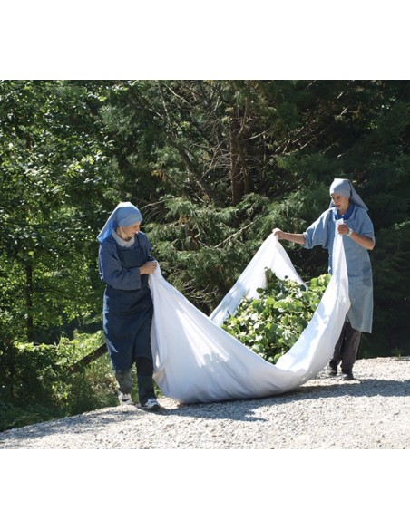 Tisane des Patriarches