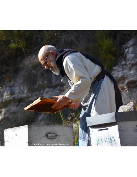 Croquant aux amandes et miel de Sénanque