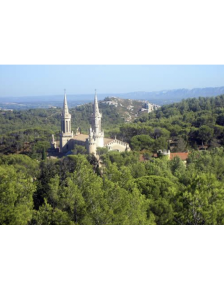 Elixir du Père Gaucher - 250 ml