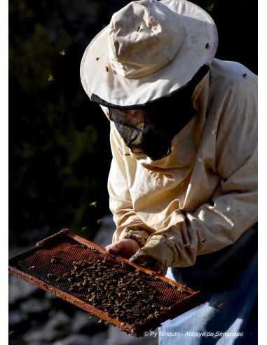 Savon cube au miel de l'abbaye de Sénanque