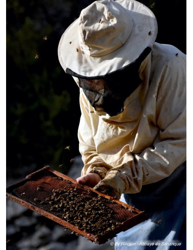 Miel de lavande 500 g - Abbaye de Sénanque