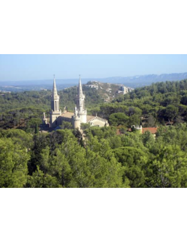 Elixir du Père Gaucher - Mignonnette