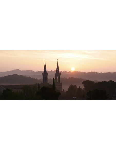 Elixir du Père Gaucher - 700 ml