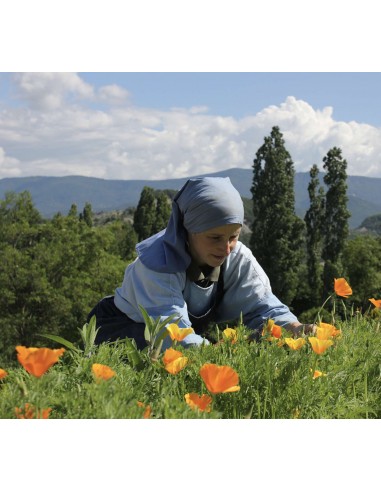 Tisane le Songe de Jacob