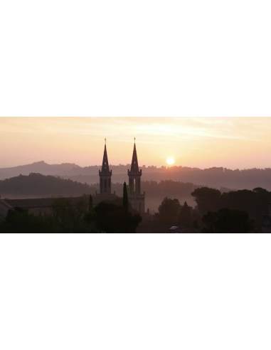Elixir Verte du Père Gaucher - Mignonnette