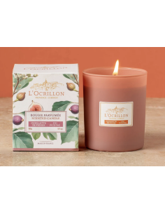 Bougie cueillette de figues