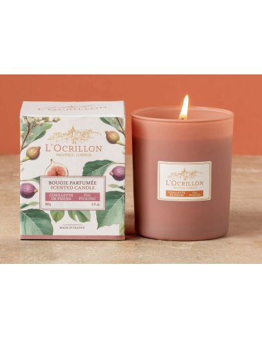 Bougie cueillette de figues